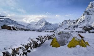 پیوند قلب با دستگاه ایرانی موفق شد