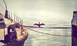 آموزش هوش مصنوعی در مدارس