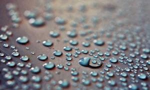 سلولهای بنیادی امید تازه
